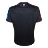 Officiële Voetbalshirt Crystal Palace Derde 2024-25 - Heren